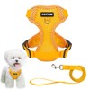 Pet Harness & Leash Set, Dog Harness, Small Dogs, Cats,