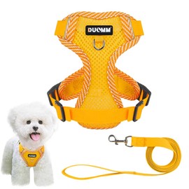 Pet Harness & Leash Set, Dog Harness, Small Dogs, Cats, Medium Dogs, Stylish, Dog Harness, Low Burden, Dog Equipment, Double Lock, Mesh, Escape-Proof Dog Equipment, Easy Installation for Dogs, Going