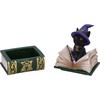 Nemesis Now Binx Small Witches Familiar Black Cat and Spellbook