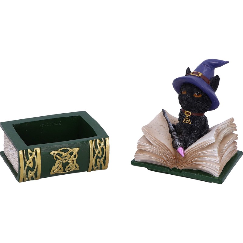 Nemesis Now Binx Small Witches Familiar Black Cat and Spellbook