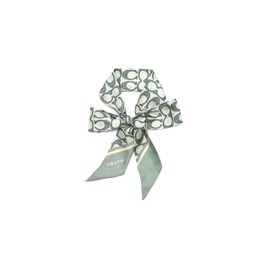 Coach Vintage Signature C Printed Silk Skinny