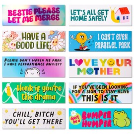 Mabie Swan - 10 Pieces Car Bumper Sticker, Vinyl Waterproof Sticker, Sticker for Car, Sticker for Truck, 9in x 3in (Car Stickers)