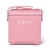 Igloo Pink 11 Qt Tag Along Too Strapped Picnic Style