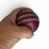 CRICKET-GIFTS Large 7cm Cricket Ball Squeezy Stress Ball