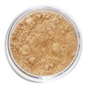Kylie's Professional Mineral Goddess Setting Powder, Fair 6g