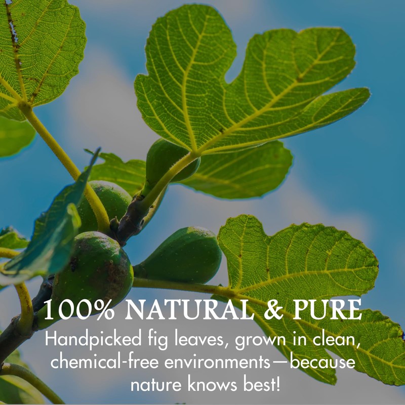 Cure Wid Pure – Certified Organic Fig Leaves 2oz –