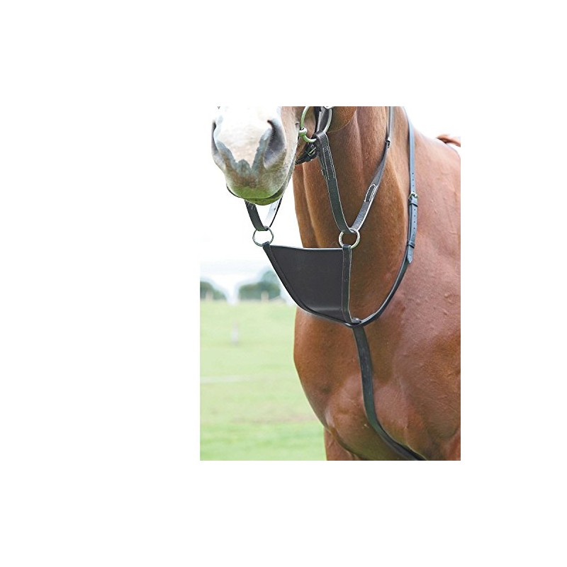 Shires Blenheim Bib Martingale