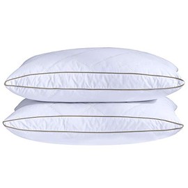 puredown Natural Goose Down Feather Pillows for Sleeping Oval Gusseted Down Pillow 100% Cotton Pillow Cover with Leaf Quilting Queen Set of 2