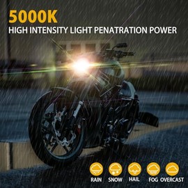 Erato Ba20d S2 Motorcycle Halogen Bulbs 35/35 W 12 V 5000 K Warm White Super Bright High Low Double Beam Headlight Lamp Lamp, Pack of 2