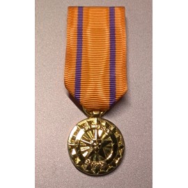GOLD TXSG Miniature Texas State Guard Exemplary Service Medal - Moiré Drape