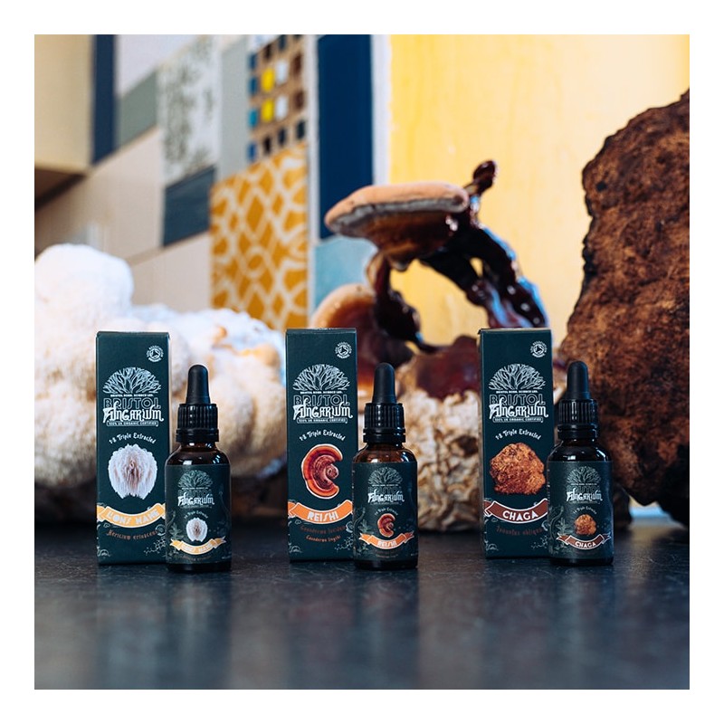 Bristol Fungarium Lion's Mane 1:8 Triple Extract 30ml