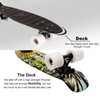 Swell Skateboards for Kids Ages 6-12 | Cruiser Complete Skateboard
