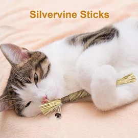 Natural Silvervine Sticks for Cats,Natural Catnip Chew Toys,Dental Care,Cat Dental Toy,Cat & Kitten Teething Chew Toys,Increase Appetite,Calm Cat Anxiety and Stress, Aggressive Chewers Cat Dental Toy