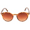Kiss Man And Round Vintage Unisex Sunglasses Steampunk Style Thick