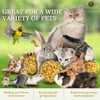 SunGrow Seagrass Balls for Rabbit, for Pet’s Gums & Teeth,