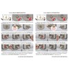 Smart Door Lock, Keyless, Fingerprint, SCYAN X2 Handle Lock with