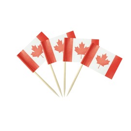 Canada Flag Canadian Flag, Small Mini Canada Toothpick Flags for Food, Cupcakes, Cocktails, Appetizers, Bar Party Decorations