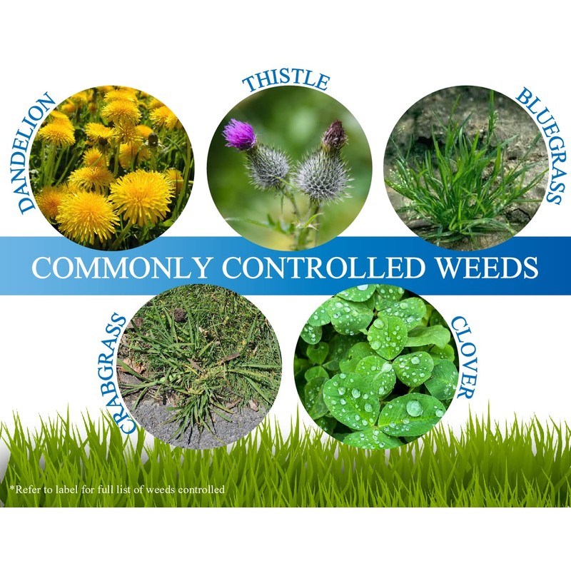 Mesotrione - 16 Ounces - (Compare to Tenacity) - Turf