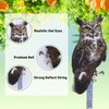 Bird Scarer, 2 Pieces Fake Owl Hanging Owl to Keep