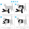Angelpet Harness for Cats, Kittens, Puppies, Small Dogs, Walks, Outings,