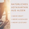 Astaxanthin – Free – Vitalastin 150 Capsules – The Original