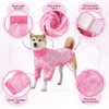 SlowTon Recovery Suit for Dogs - Female Male Dog Bodysuit