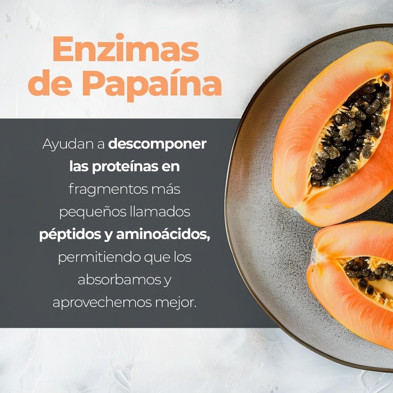 Enzimas Digestivas | Enzimas de Papaina + Prebioticos | 90