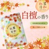 Bath Salt Variety Set of 28 Lucky Bags, Individually Packaged,