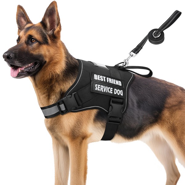 DEWVIE Service Dog Vest Harness, Adjustable Dog Harness and Dog