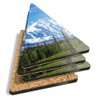 4 x Triangle Coasters - Mount Denali Alaska Mountain Cork