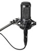 Audio-Technica Micrófono Condensador, Negro (AT2035), Micrófono, Negro, 0