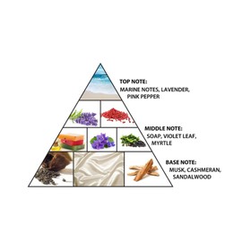 Al Haramain Zahara Ajwa Dubai - Perfumes For Women - Womens Fragrance with Marine Freshness - Musk Perfume Base - 3.33 oz Extrait De Parfum Spray