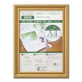 Daisen J045C6100 Picture Frame, OA Frame, R/A4, Resin Boxed