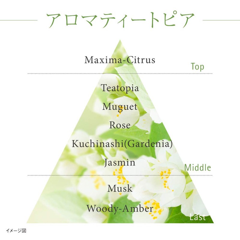 Kanebo Moisture Flow Lotion, 6.1 fl oz (180 ml)