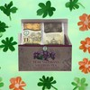 Té De Eucalipto (Eucalyptus Tea) – 100% Natural, Vegan |