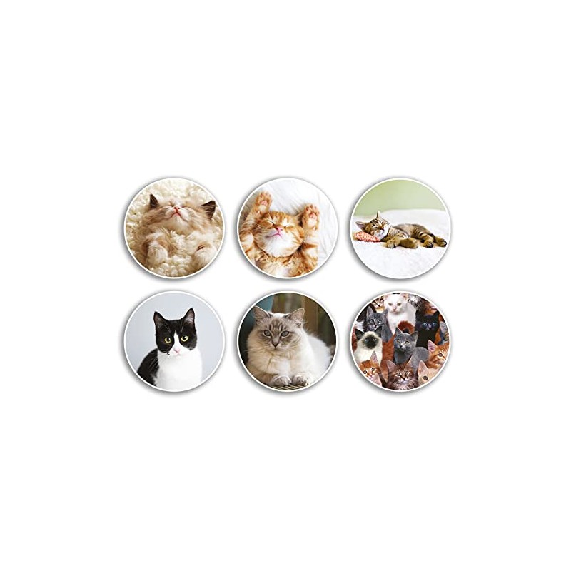 6 x 10cm Cats Vinyl Stickers - Animal Pets Fluffy