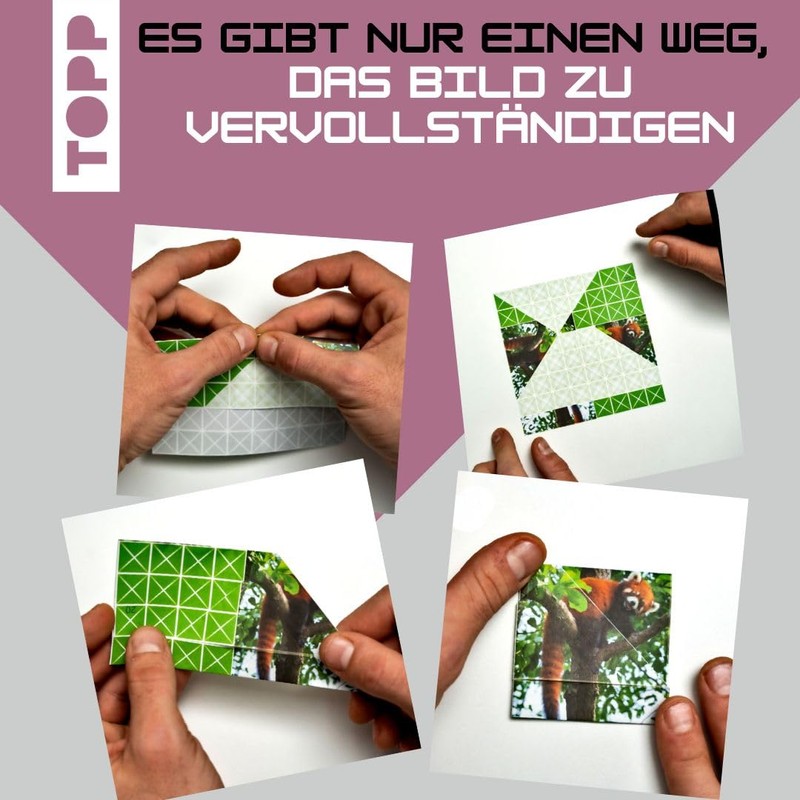 Foldology 2 - Master the Origami Puzzles. 100 challenging folding