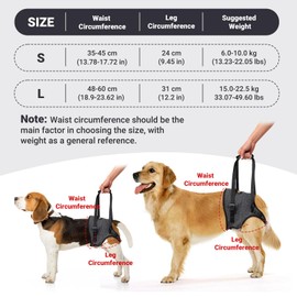 taotaole Dog Lifting Harness Leg Support for Back Slings for Small Medium Large Dogs Leg Brace Adjustable Lift Harness Hind Leg Dog Support Strap for Injured Disabled Elderly Dogs Walking Aid (L)