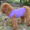 Lovelonglong 2019 Summer Pet Clothing, Dog Clothes Blank T-Shirts Ribbed