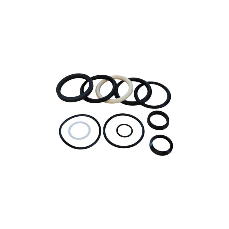 Aztec Hydraulics Replacement - Compatible with Seal Kit for Hyster