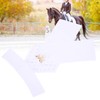 Horse Riding Stock Tie Equestrian Pre Tied Brooch Cotton Adult