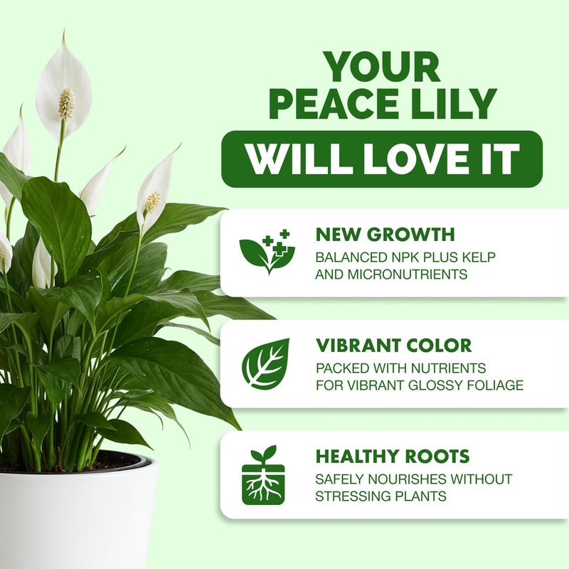Peace Lily Fertilizer, Complete Liquid Peace Lily Plant Food, 8