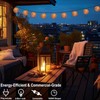 Decorative String Lights Plug in with 10 Incandescent Bulbs, Natural