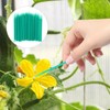 SUPVOX Pollination Tool, 100Pcs Vegetable Pollinator Brush Manual Pollination Tool