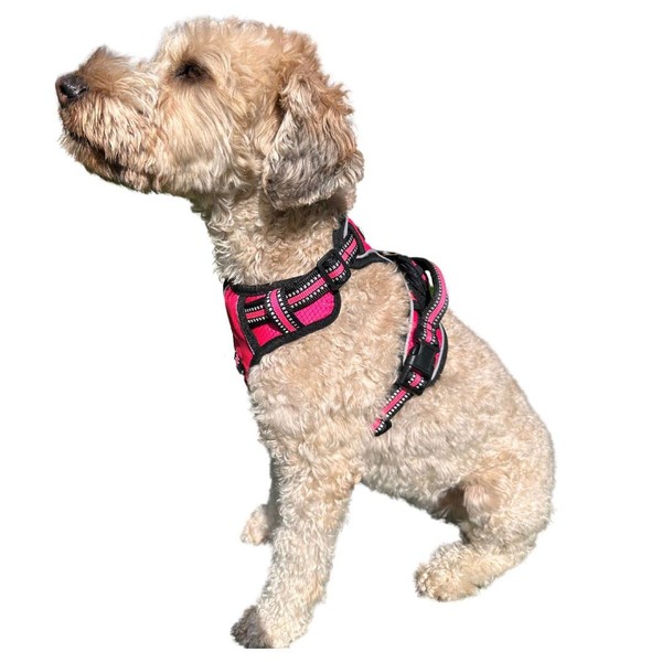 ROOSK Dog Harness | No-Pull, Reflective, 4-Way Adjustable w/Poop Bag
