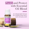 Pranarom - Good Samaritan Essential Oil Blend (15ml) -100% Pure