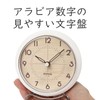 MAG T-737WH-Z Table Clock, Waterproof, Dustproof, Analog, Amphy, IP54, Silent,