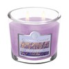 Colonial Candle French Lavender Scented Jar Candle, 2 Wick, 3.5