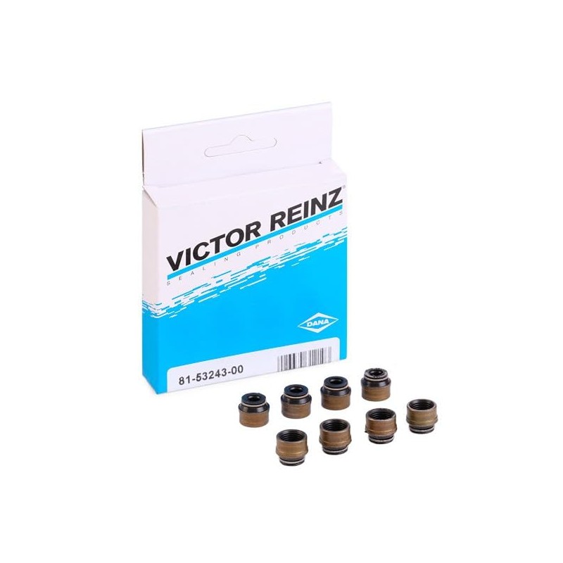 Reinz 12-31306-07 Gasket Kit, Valve Stem