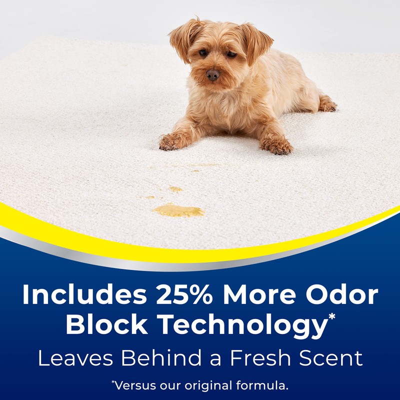 Woolite Advantage Pet Urine Eliminator, 44 Fl Oz, Pack of